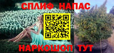 синтетический гашиш Пенза